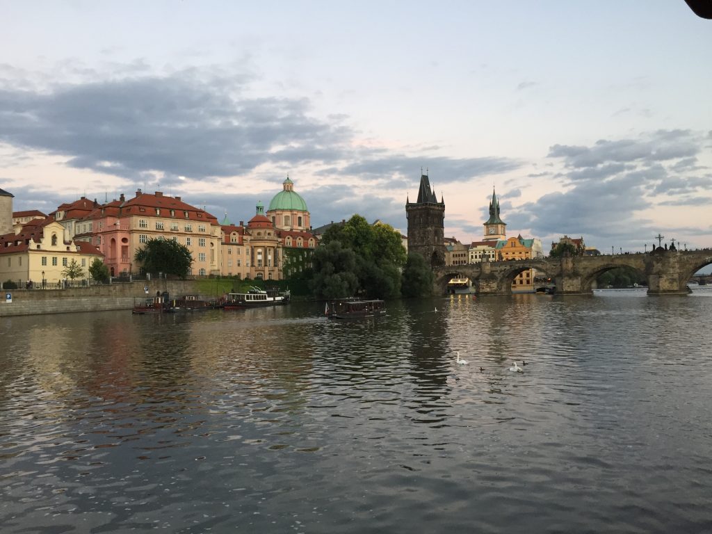 IMG_8694